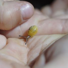 “May I Ask What You Are Doing?”